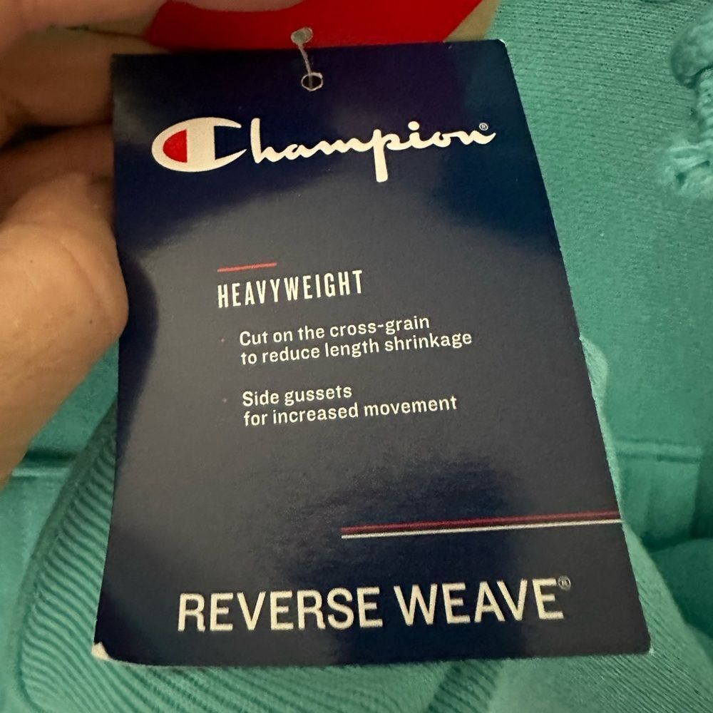 Champion heavyweight Hoodie Logo on front NWT - Picture 9 of 9
